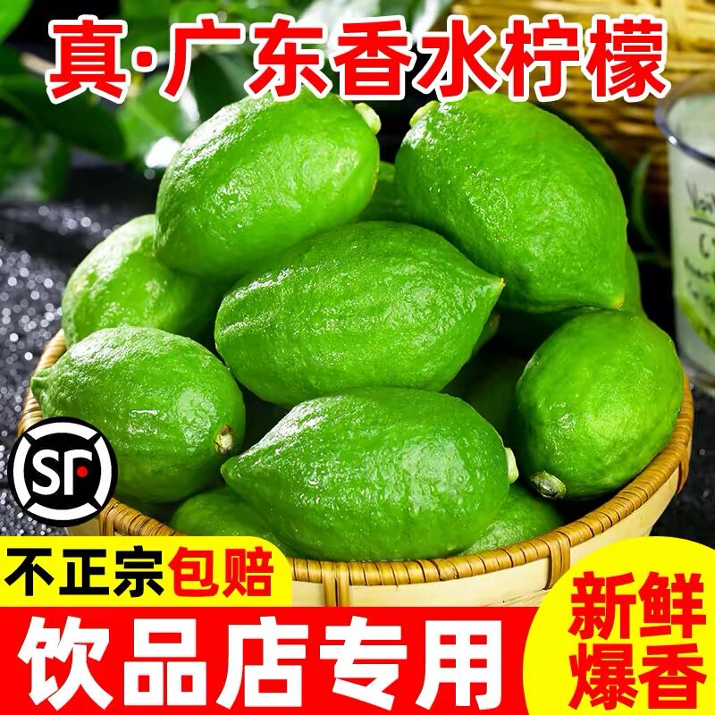 正宗广东香水柠檬奶茶店专用新鲜无籽爆香多汁青柠檬商用顺丰包邮