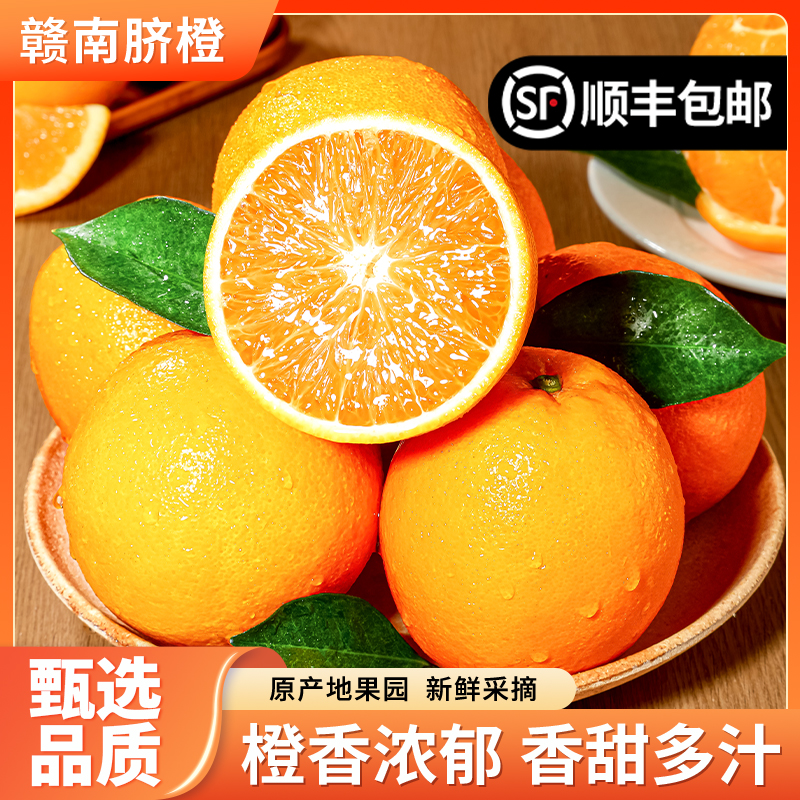 现摘当天发赣南脐橙原产地果园