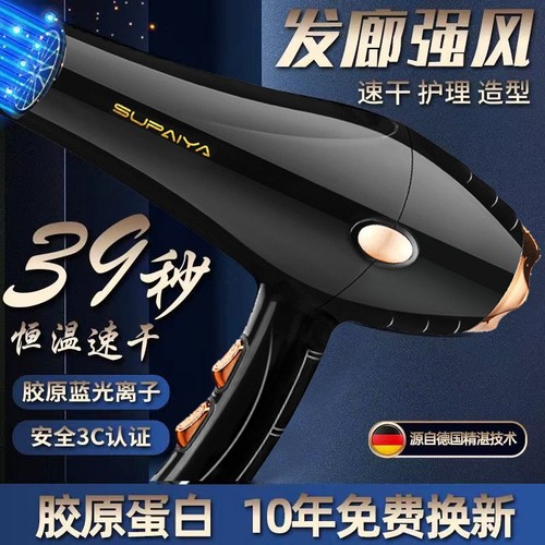 德国电吹风机家用发廊大功率理发