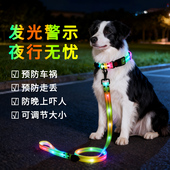 狗狗发光项圈夜间遛狗夜光狗圈小狗发光圈发亮荧光小型犬宠物脖圈