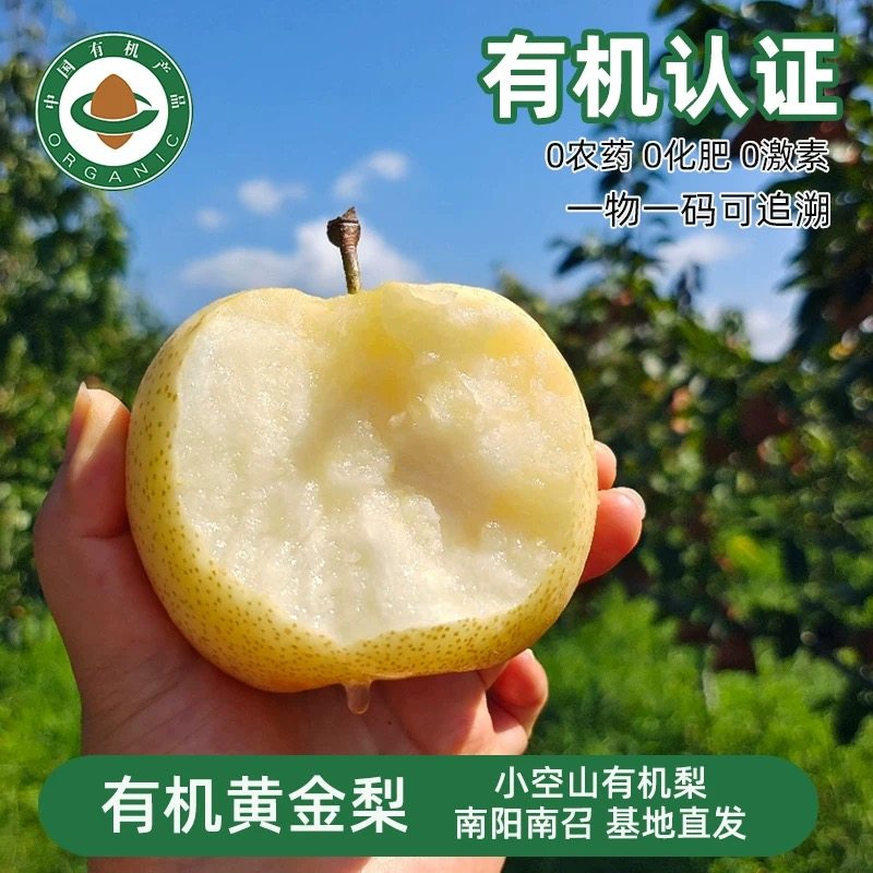 河南有机黄金梨香梨脆甜多汁营养健康新鲜水果有机认证当季鲜果