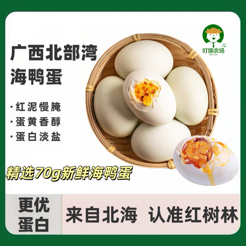 红树林海鸭蛋小火慢烤广西特产