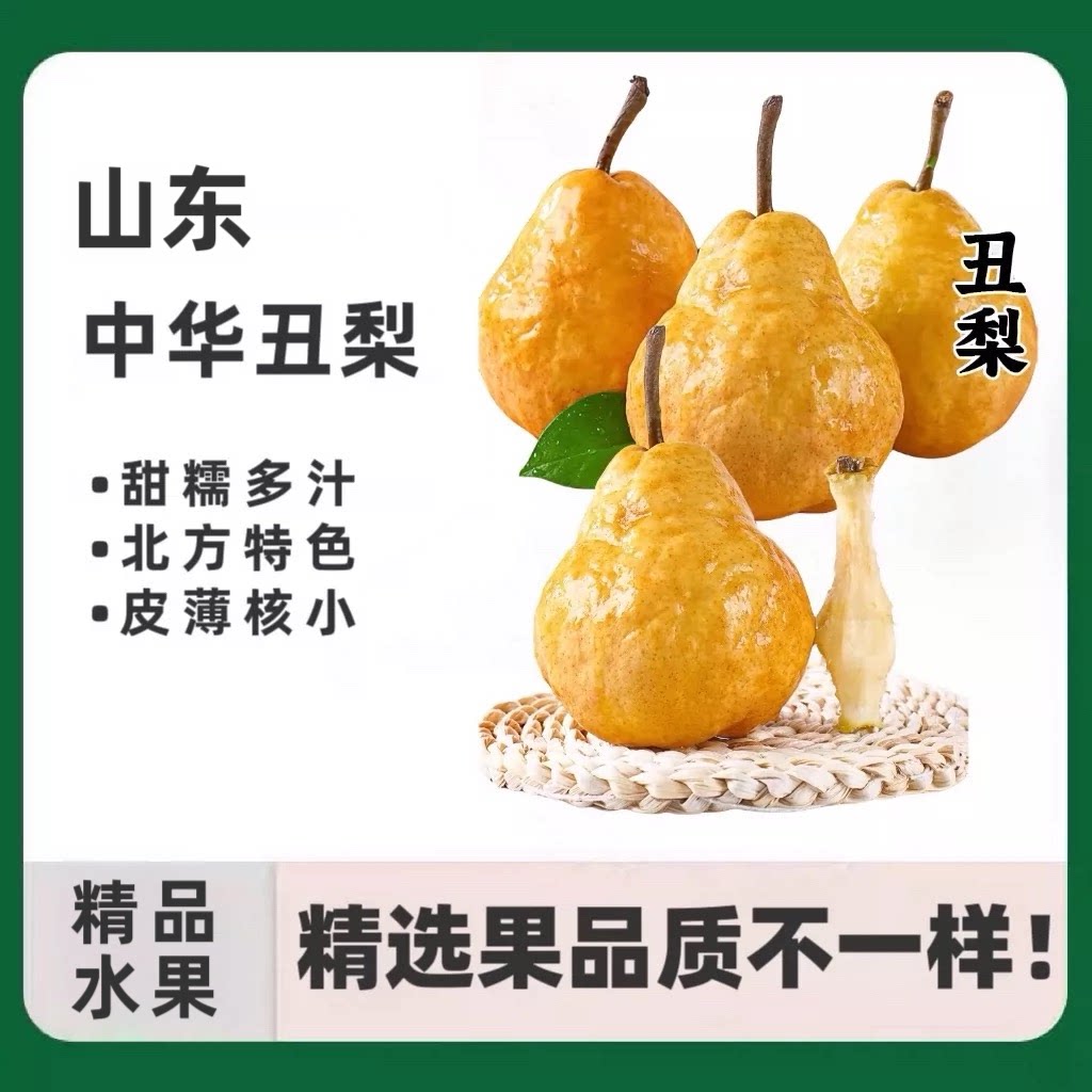 山东中华丑梨核小肉糯梨