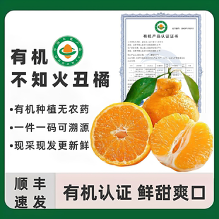 四川有机不知火丑橘丑柑浦江桔子一件一码蜜柑有机认证水果手剥橘