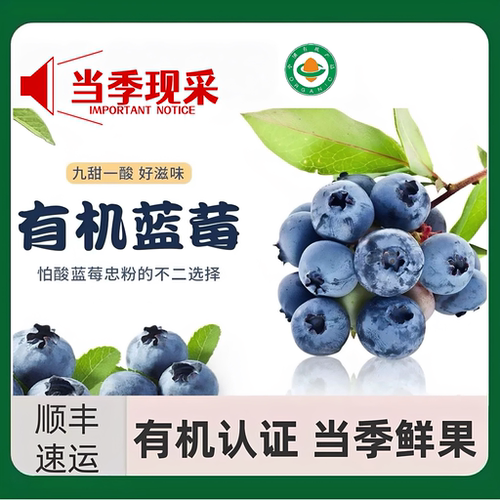 有机认证现采蓝莓无农残水果