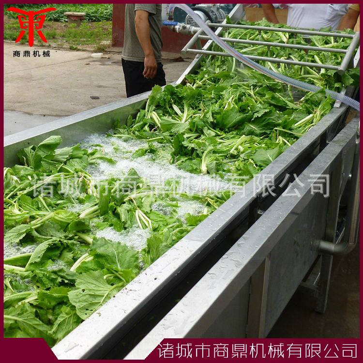 蔬菜清洗机 苦菜清洗制造线 山野菜鼓泡式果蔬清洗机