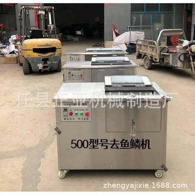 商用去鱼鳞机鲤鱼草鱼罗非鱼打鱼鳞机数控计时除鱼鳞机不伤鱼身