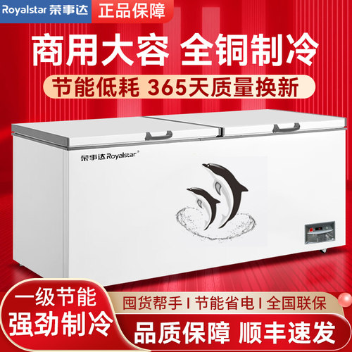 荣事达商用冰柜保鲜冷冻大容卧式