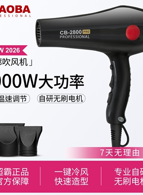 超霸吹风机理发店专用大功率电吹