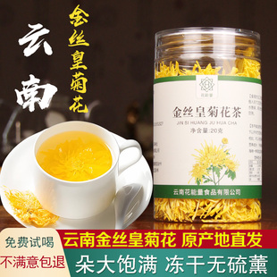 云南弥勒冻干金丝皇菊花茶20g大菊花茶一朵一杯贡菊胎菊金银花茶