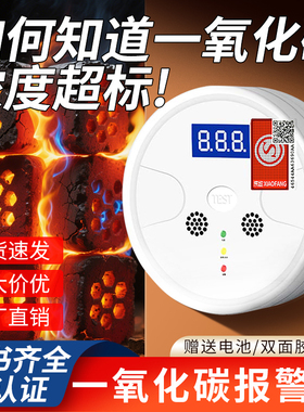 一氧化碳警报器家用探测蜂窝煤泄漏气体中毒报警器插电款co检测仪