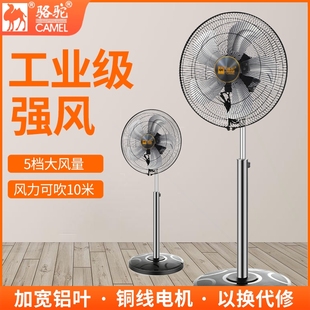 风力强力工业风扇宿舍遥控摇头大 骆驼电风扇落地扇节能家用台立式