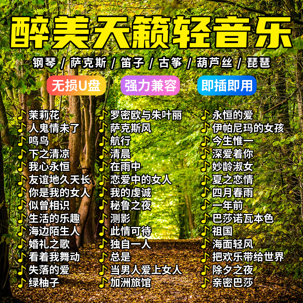 车载U盘醉美天籁轻音乐抒情休闲优美大自然纯音乐无损高音质优盘