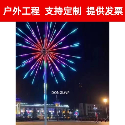 LED数码烟花灯爆闪 led烟花灯 礼花灯夜景亮化灯户外防水装饰灯。
