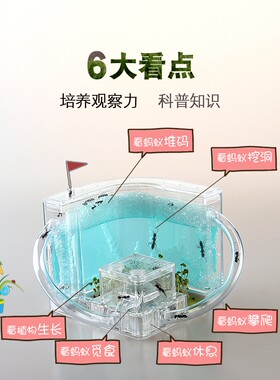 蚂蚁工坊别墅家园蚂蚁城堡生态学生蚁巢小宠物活体弓背蚁后盒子