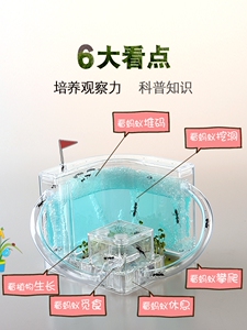 蚂蚁工坊别墅家园蚂蚁城堡生态学生蚁巢小宠物活体弓背蚁后盒子