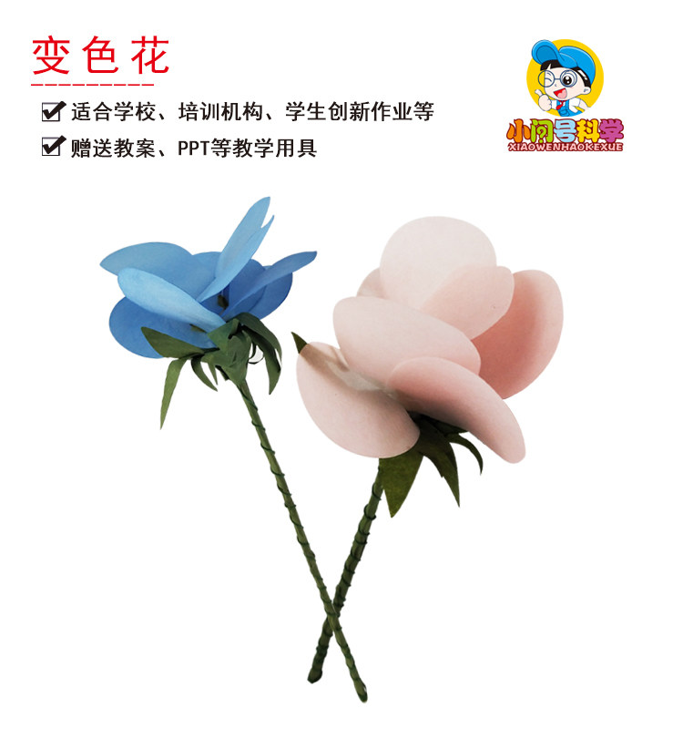 s3变色花氯化钴的性质幼小初科学实验器材小问号steam教具创客diy