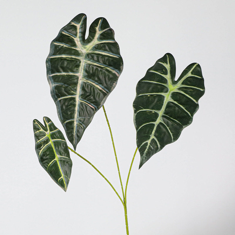 仿真绿植3头黑孔雀秋色海芋叶插花配叶植物墙绿植家居龟背叶植物图片
