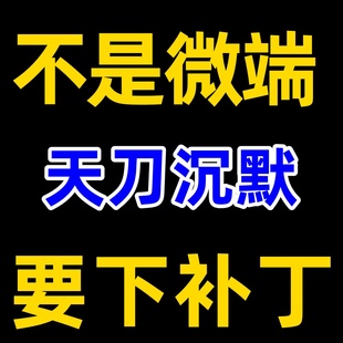 天刀沉默4大陆天命玩法专属单职业内容超多 PC单机 补丁10G