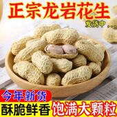 正宗龙岩水煮花生白晒咸干带壳熟湿烤花生零食有嚼劲原味24年新货