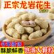 正宗龙岩水煮花生白晒咸干带壳熟湿烤花生零食有嚼劲原味24年新货