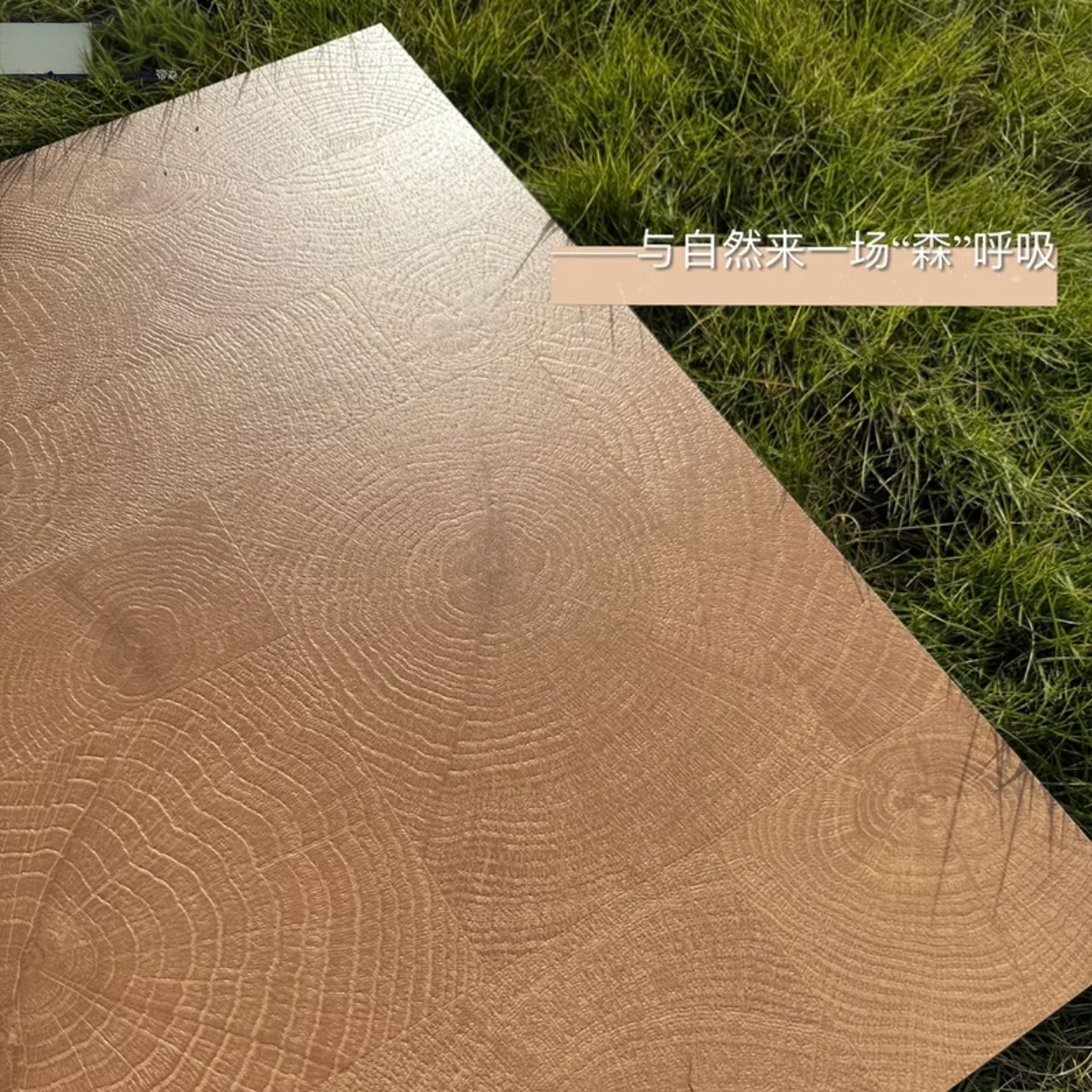 广东年轮木纹砖600x1200天然仿木纹瓷砖仿木地板砖家装建材地板砖