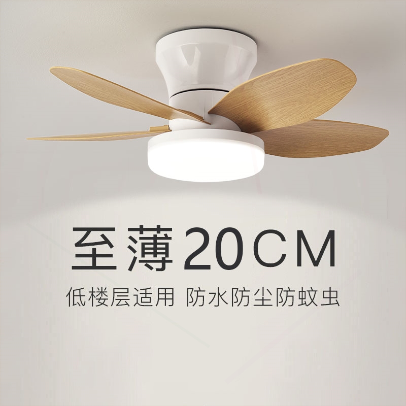 小型卧室风扇灯2025年新款家用小灯尺寸餐厅静音过道阳台吸顶吊扇