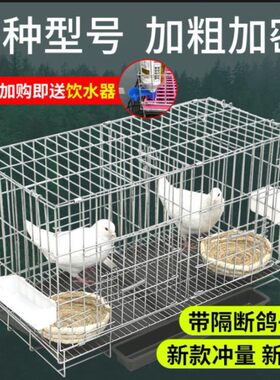 家用折叠式鸽子繁殖笼｜加密防盗