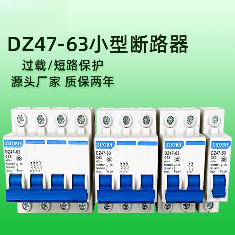 空气开关DZ4763断路器2P63A