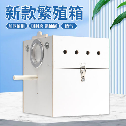喜昕佳虎皮牡丹玄凤鹦鹉鹦鹉繁殖