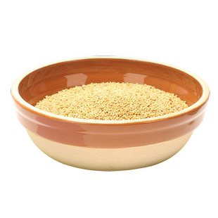 虎皮牡丹鹦鹉防撒陶瓷食罐鸽子喂鸟器防溅鸟碗食槽鸟食盒鸟笼用品