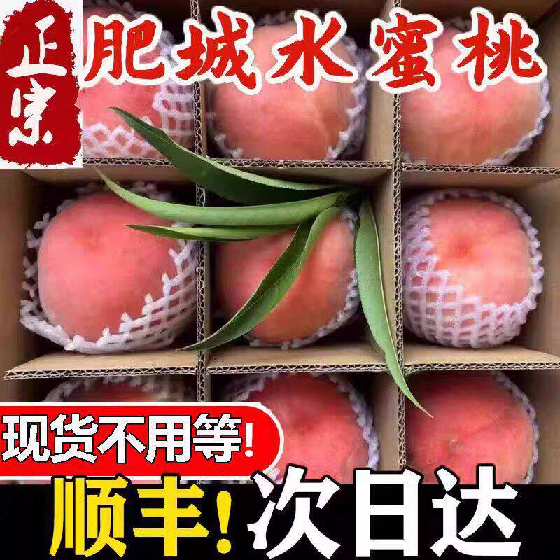 山东肥城桃子水蜜桃中华寿桃新鲜水果当季整箱脆甜毛桃大果礼盒