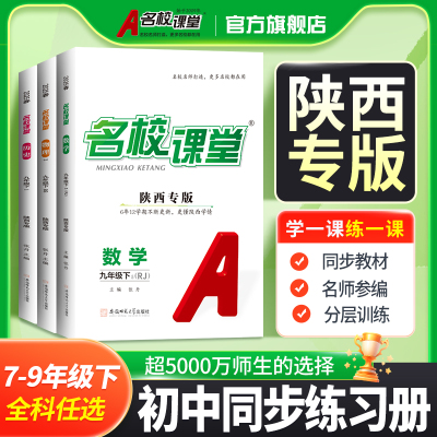 2025/2024春陕西专版名校课堂语文数学英语物理化学道德与法治历史七八九年级下册人教版RJ随堂同步练习册辅导资料书测试题测试卷