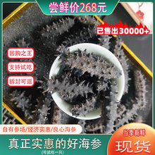 大连淡干海参干货500g野生辽参非即食刺参250g礼盒装孕妇深海海参