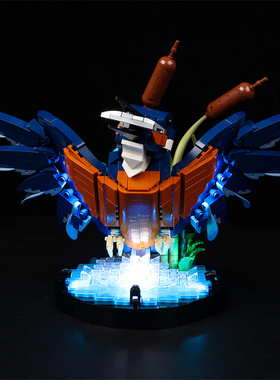 KGBOX乐高ICONS系列10331翠鸟拼装积木玩具手办盲盒led灯具展示盒