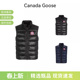 轻薄款 男士 鸭绒羽绒立领拉链马甲2229M GOOSE加拿大鹅 CANADA