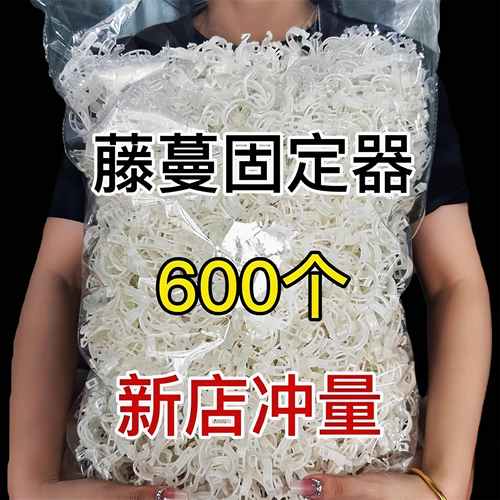 黄瓜西红柿豆角固定器