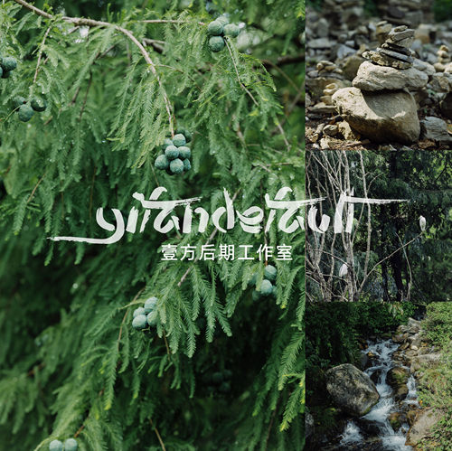 像素蛋糕预设21款手机LR/PR滤镜