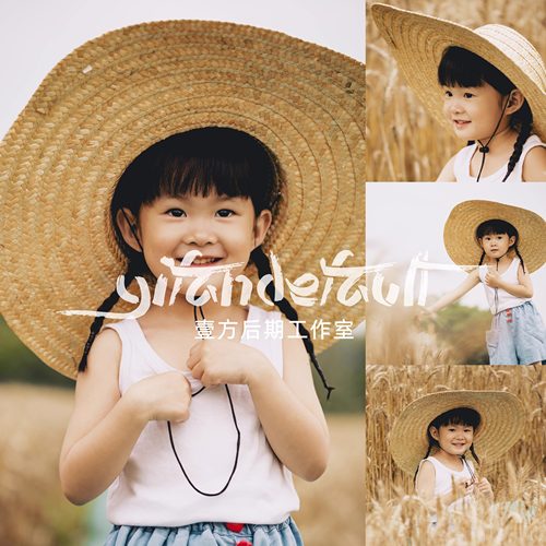 LR飞思预设仿满盐 像素蛋糕 儿童胶片7款 像素蛋糕/PR滤镜/PS调色