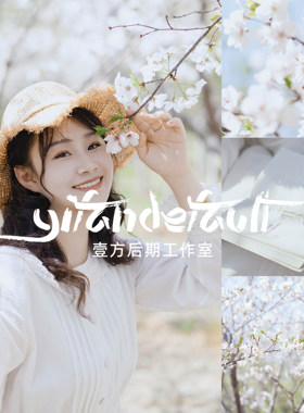 像素蛋糕原创日系樱花人像预设4款 手机LR/PR滤镜/PS调色/飞思