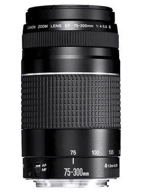 Canon/佳能RF75-300mm F4-5.6远摄变焦镜头75300微单相机长焦风光