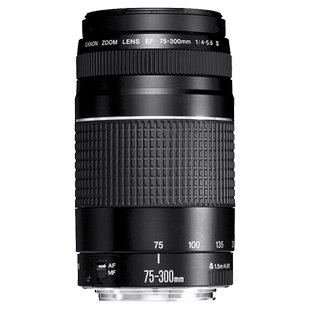 Canon/佳能RF75-300mm F4-5.6远摄变焦镜头75300微单相机长焦风光