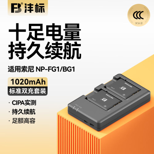 沣标NP-FG1/BG1相机电池适用索尼W300 HX5C H10 WX1 T100 H90 HX30 hx9 WX10 T20 H3 H9 H20 H50 WX1 HX10H70