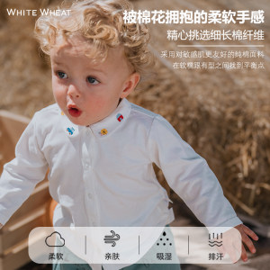 whitewheat秋季纯棉立领简约衬衣