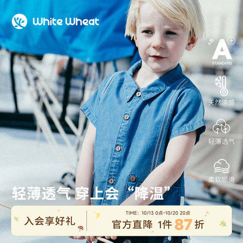 whitewheat牛仔小鱼刺绣衬衫