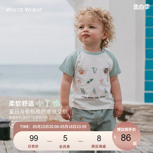 whitewheat儿童2024夏季 t恤男女童外出洋气宝宝上衣 纯棉短袖 新款