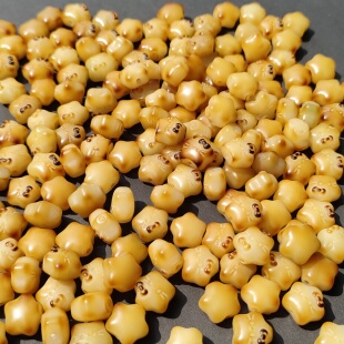 天然菩提根散珠子雕刻小件星星kitty猫手串DIY佛珠文玩饰品配件