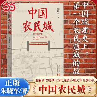 【热播剧小城大事】中国农民城 赵丽颖黄晓明主演电视剧原著 朱晓军著 中国城建史上第一个农民造城的故事 人民文学出版社正版书籍