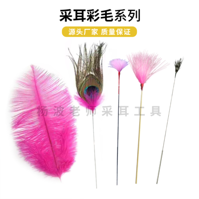 采耳彩毛芙蓉毛孔雀毛杨波老师