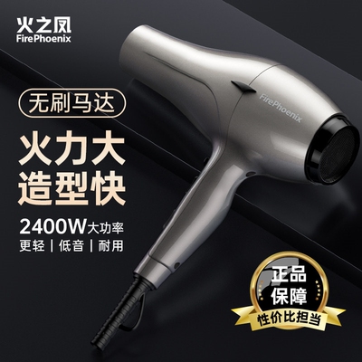 火之凤吹风机6600H理发店专用发